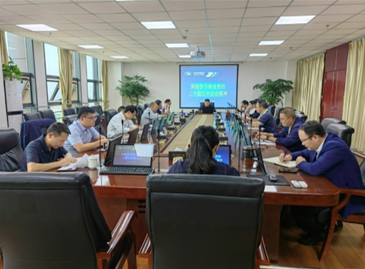 集团公司党委理论学习中心组专题学习 党的二十届三中全会心灵