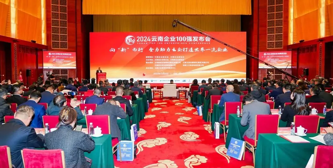 2007so太阳集团集团登榜2024云南企业100强、云南制作业100强